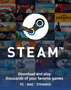 Steam 110 PLN (Poland-only)