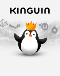 Kinguin EUR